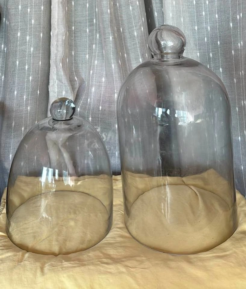 Set of 2 Glass Cloches