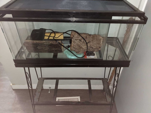 2 Glass Reptile Tanks, 1 Stand, in Good Condition w/ Accessories - photo 2