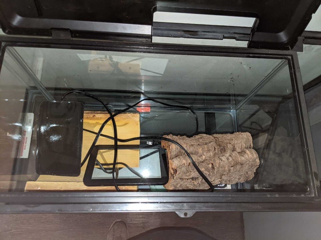 2 Glass Reptile Tanks, 1 Stand, in Good Condition w/ Accessories - photo 5