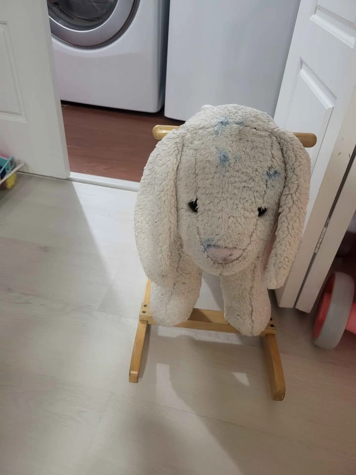 Little Tikes Cozy Coupe, Fisher-Price Lion, and Rocking Sheep - photo 5