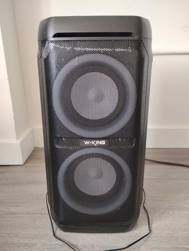W-King Portable Bluetooth Party Speaker