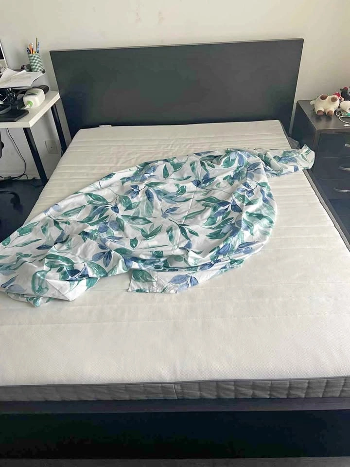 IKEA MALM Queen Bed Frame with LURÖY Slats
