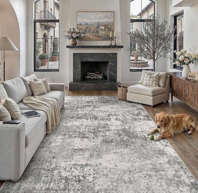 Distressed Grey and White Area Rug