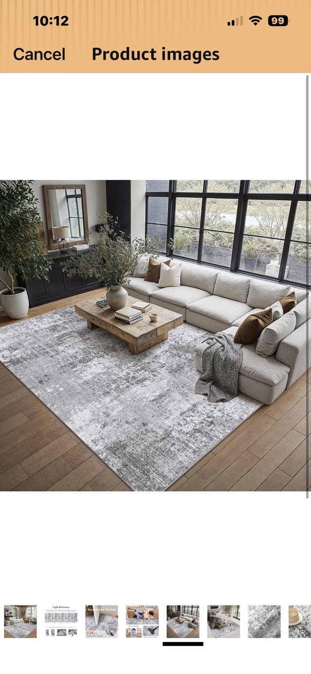 Area Rug - photo 2