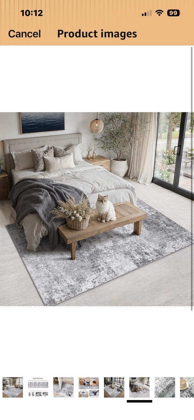 Area Rug - photo 3