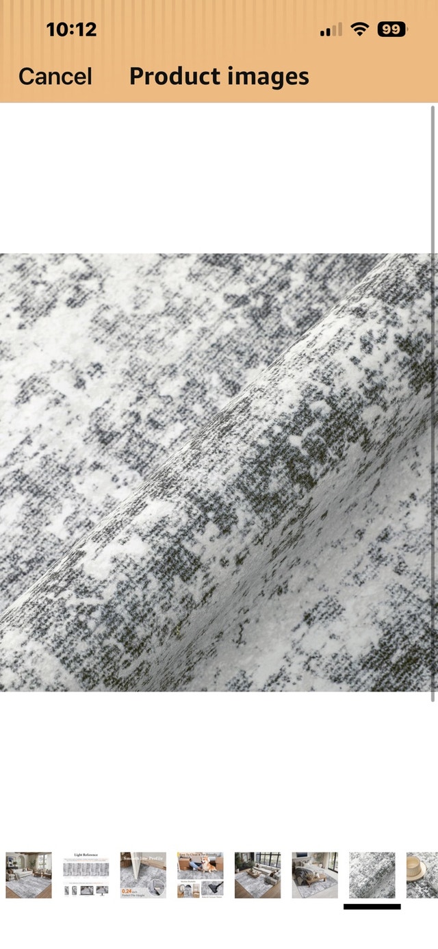 Area Rug - photo 4