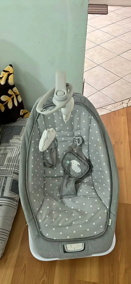 Ingenuity Baby Swing