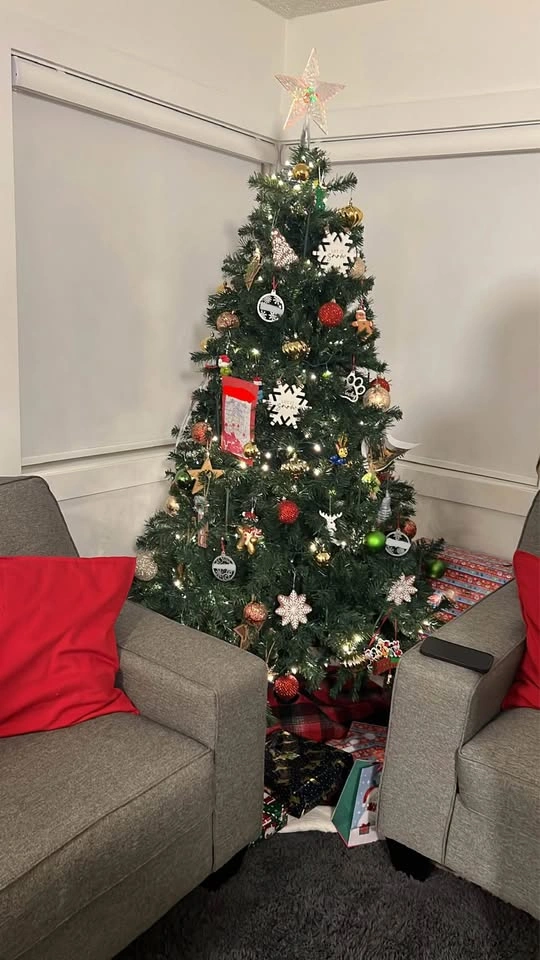 Beautiful Christmas tree - photo 4