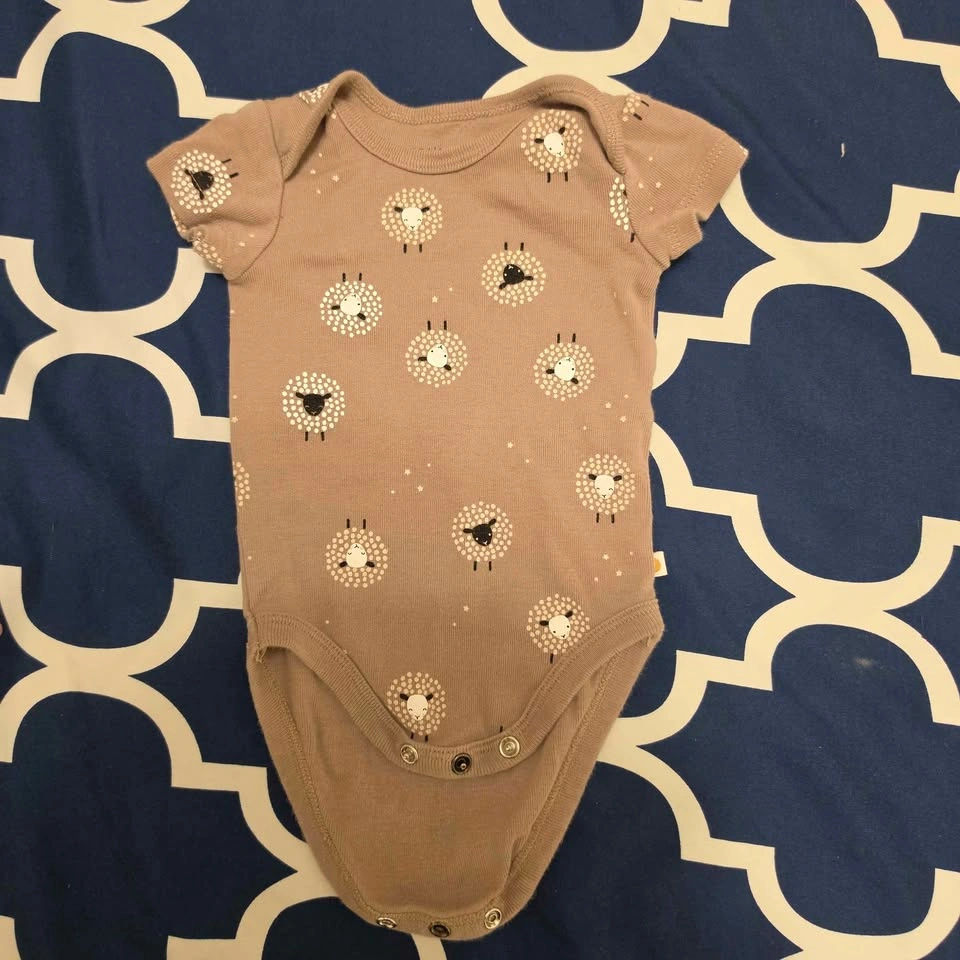 0-3m bodysuits Petit Lem - photo 4
