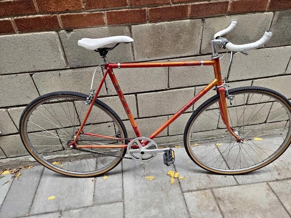 Vintage Raleigh Record Single Speed Bicycle