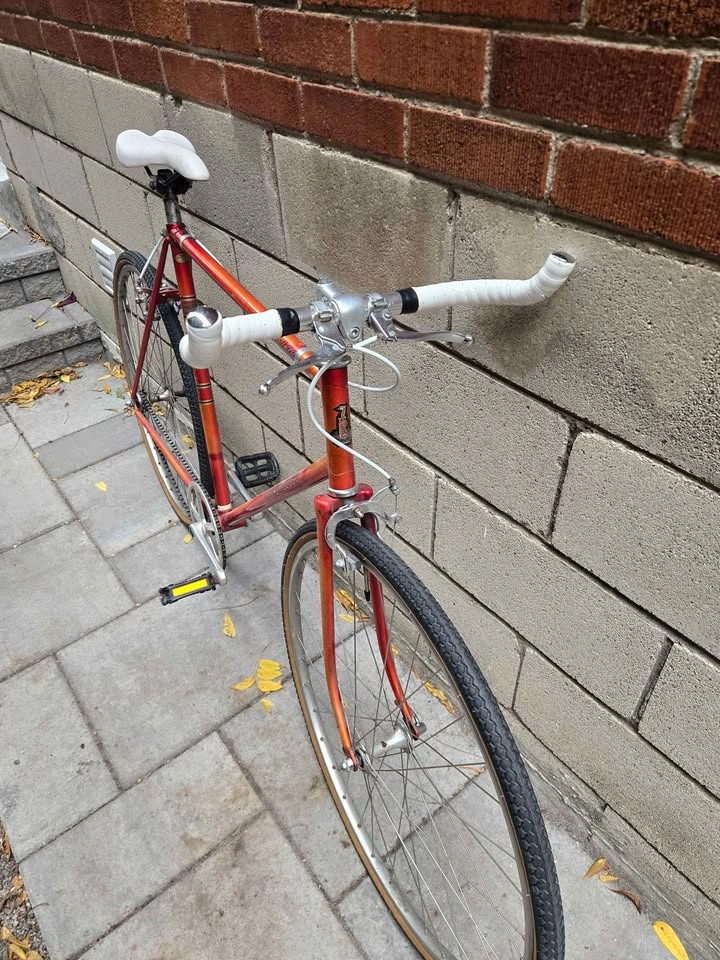 Vintage Raleigh Record Single Speed Bicycle - photo 4