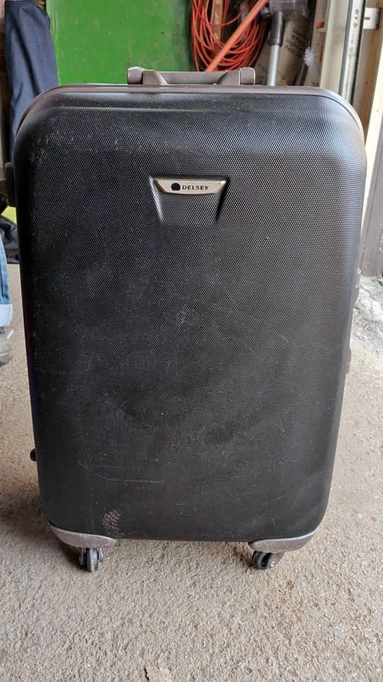 Delsey Hardside Spinner Suitcase