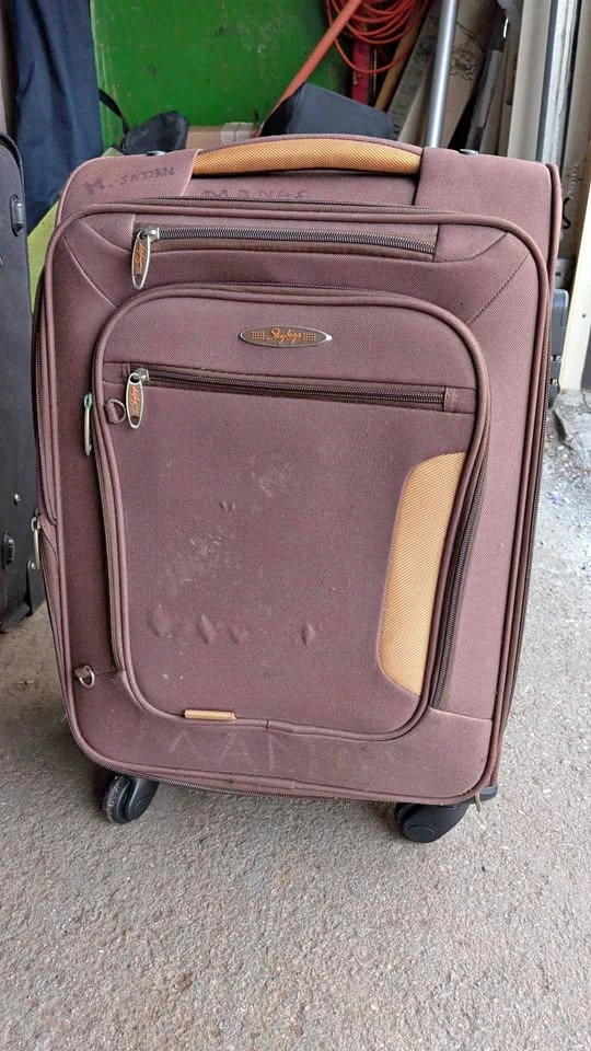 Skybags Brown Softside Spinner Suitcase