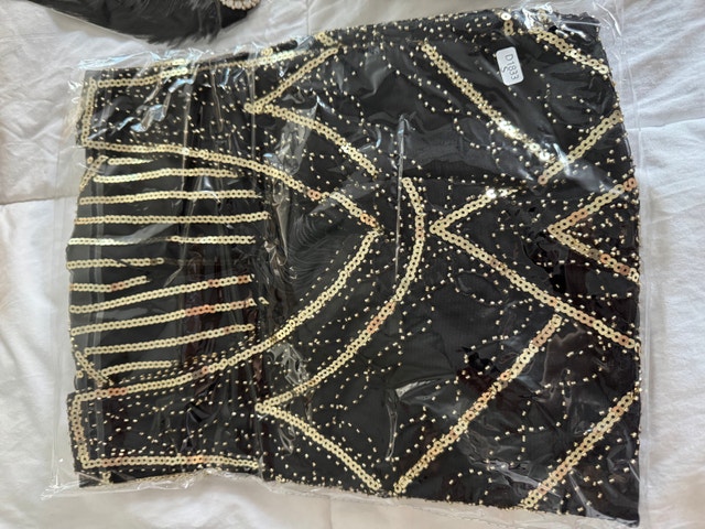 Brand New Ladies Size Small 1920’s Flapper Dress with Accessorie - photo 5