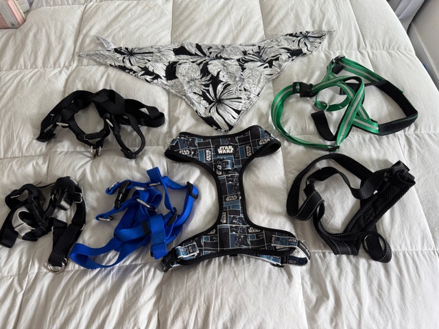 Size Large Dog Clothing Lot - Boy - Star Wars harness + More