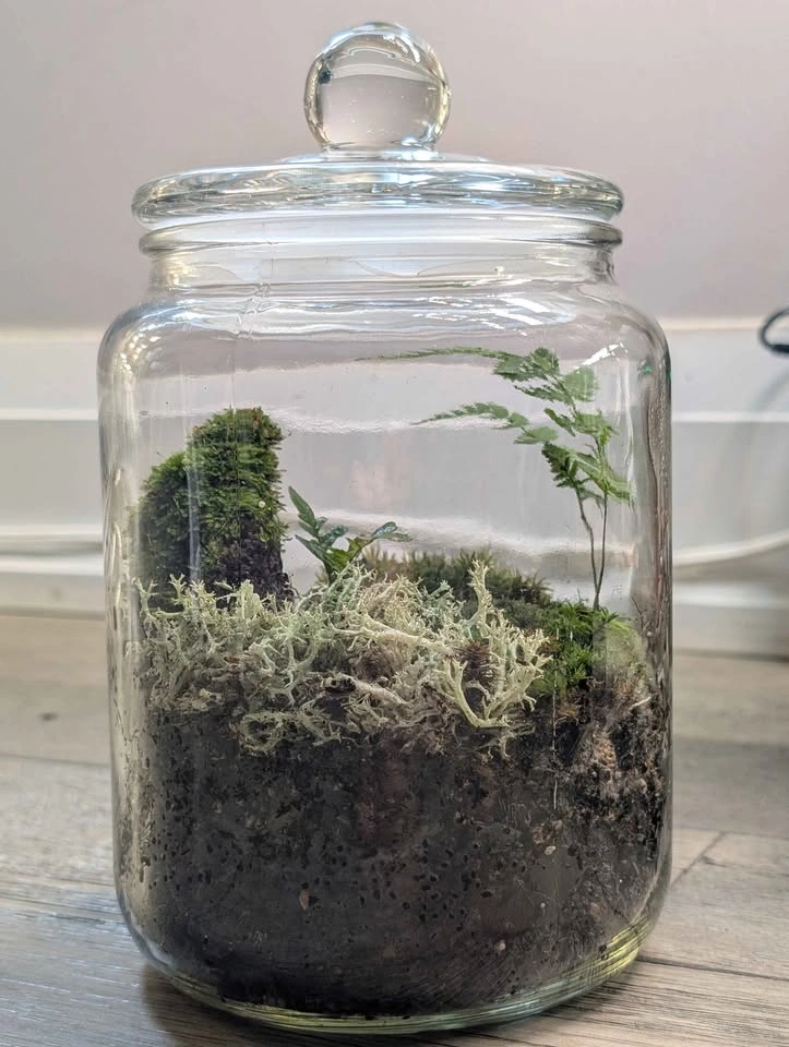 Terrarium in Glass Jar - Algonquin nature - photo 2