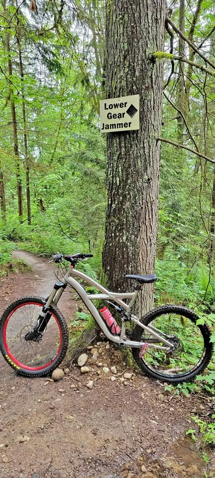 Specialized Enduro SL - 2010