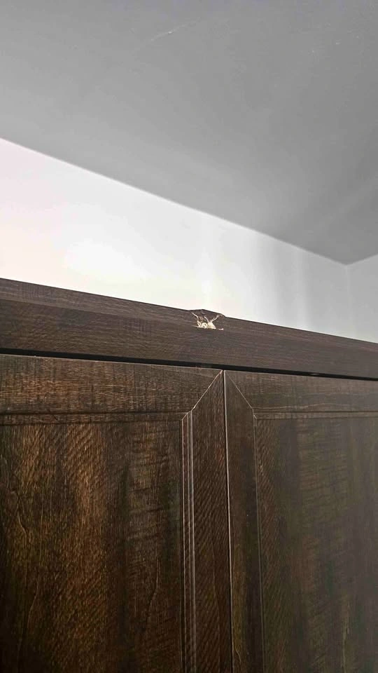 Dark Brown 4-Door Wardrobe with Drawers (get a free robot sweepe