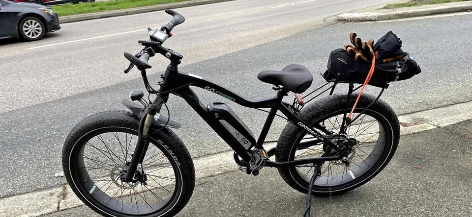 Upgraded GoPower GoSpeed Fat Tire E-Assist Bike
