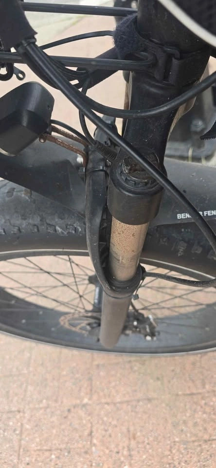 Upgraded GoPower GoSpeed Fat Tire E-Assist Bike - photo 2