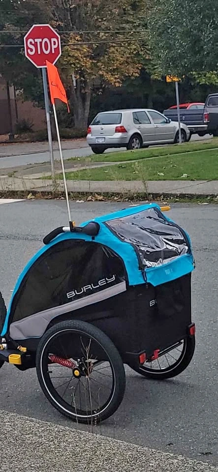 Burley D'lite X – 2-Seat Kids Bike Trailer & Stroller