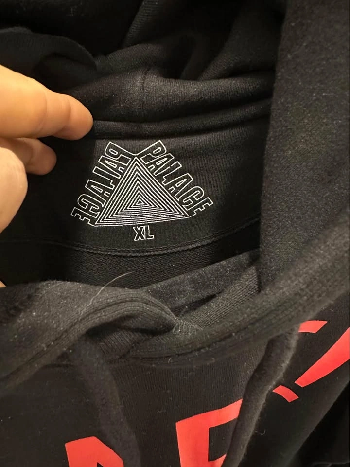 Palace Safe! Hoodie - photo 2