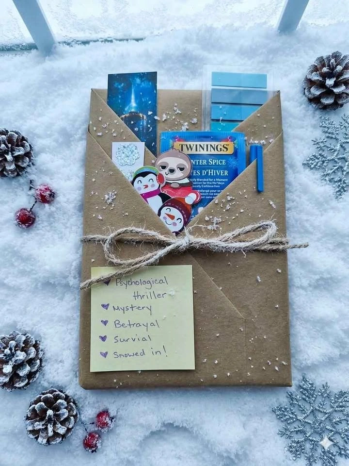 Blind Date with a Book Mystery Gift Set