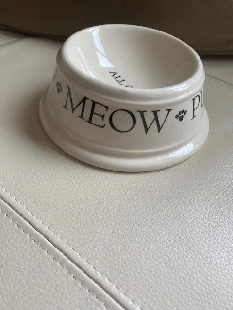 Cat Bowl by Boston Warehouse