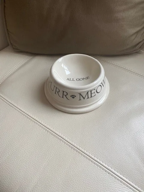 Cat Bowl by Boston Warehouse image indicator(2)