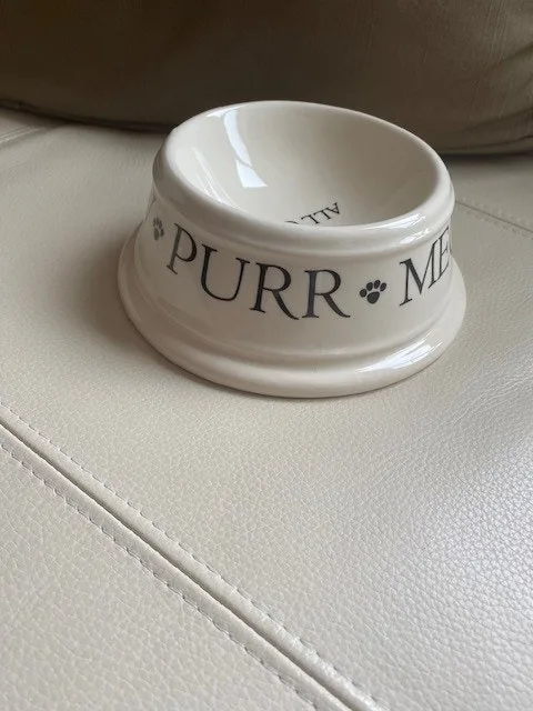 Cat Bowl by Boston Warehouse image indicator(3)