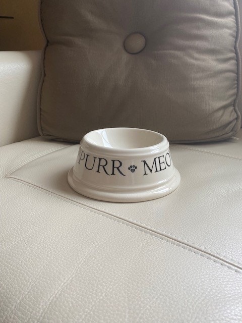 Cat Bowl by Boston Warehouse - photo 5