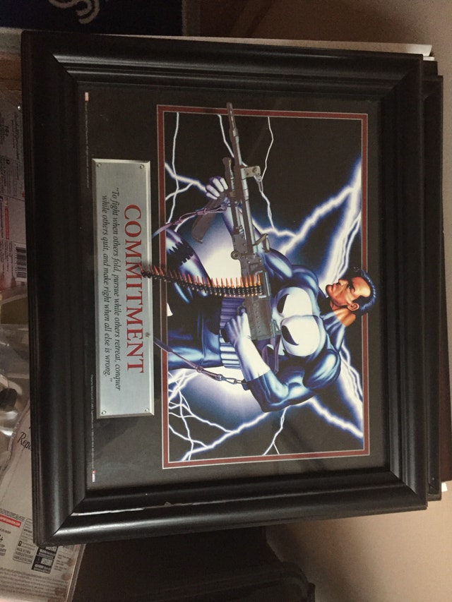 Marvel The Punisher Framed Art - photo 2