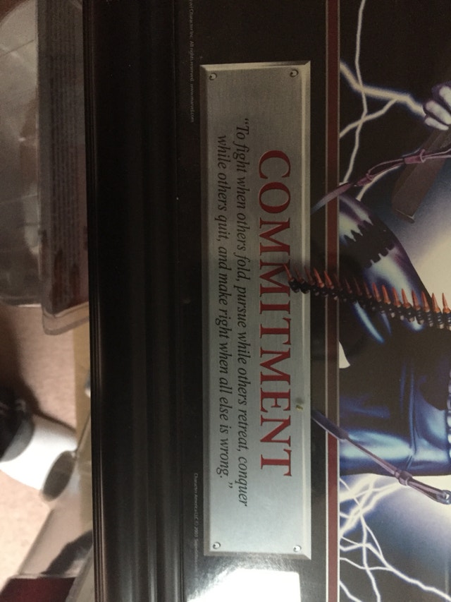 Marvel The Punisher Framed Art - photo 3