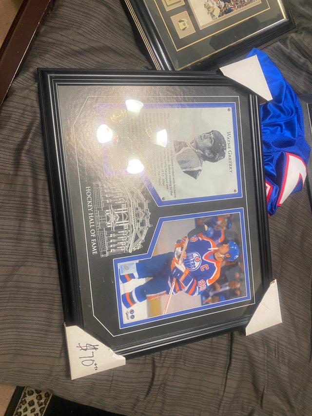 Wayne Gretzky Hockey Hall of Fame Framed Photo - photo 2