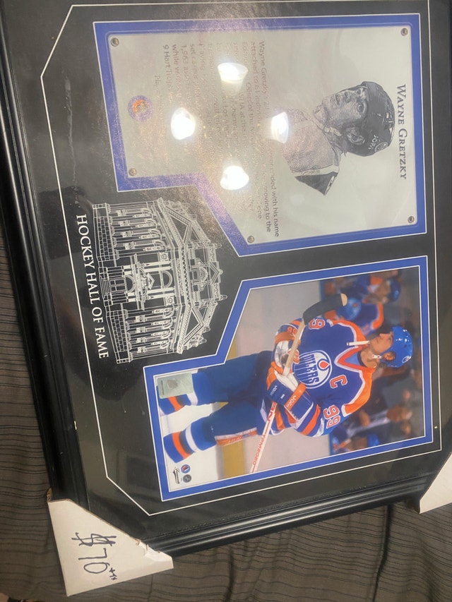 Wayne Gretzky Hockey Hall of Fame Framed Photo - photo 3