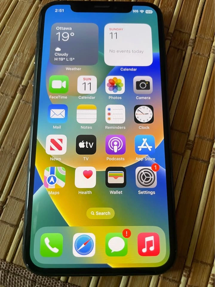 Apple iPhone X 64GB Battery 100%