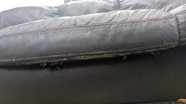 leather sofa