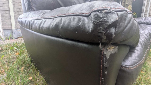 leather sofa - photo 2