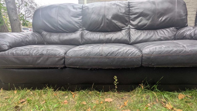 leather sofa - photo 3