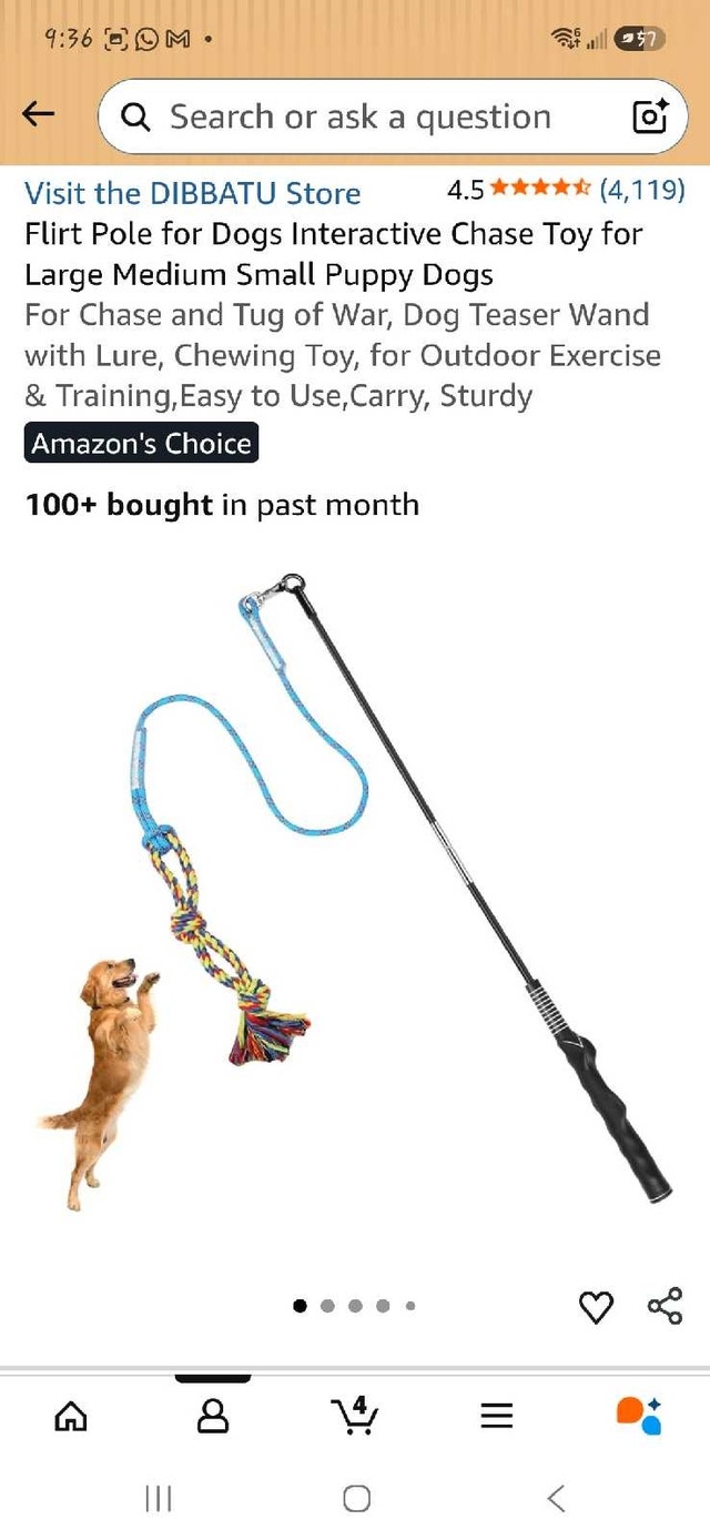 Dog Flirt Pole