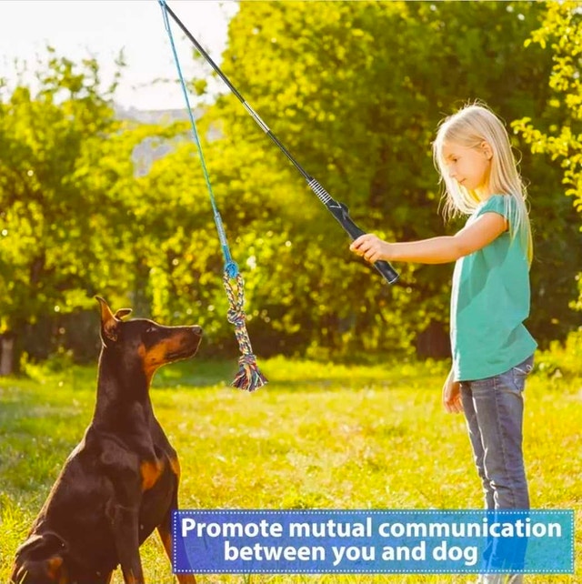 Dog Flirt Pole - photo 2