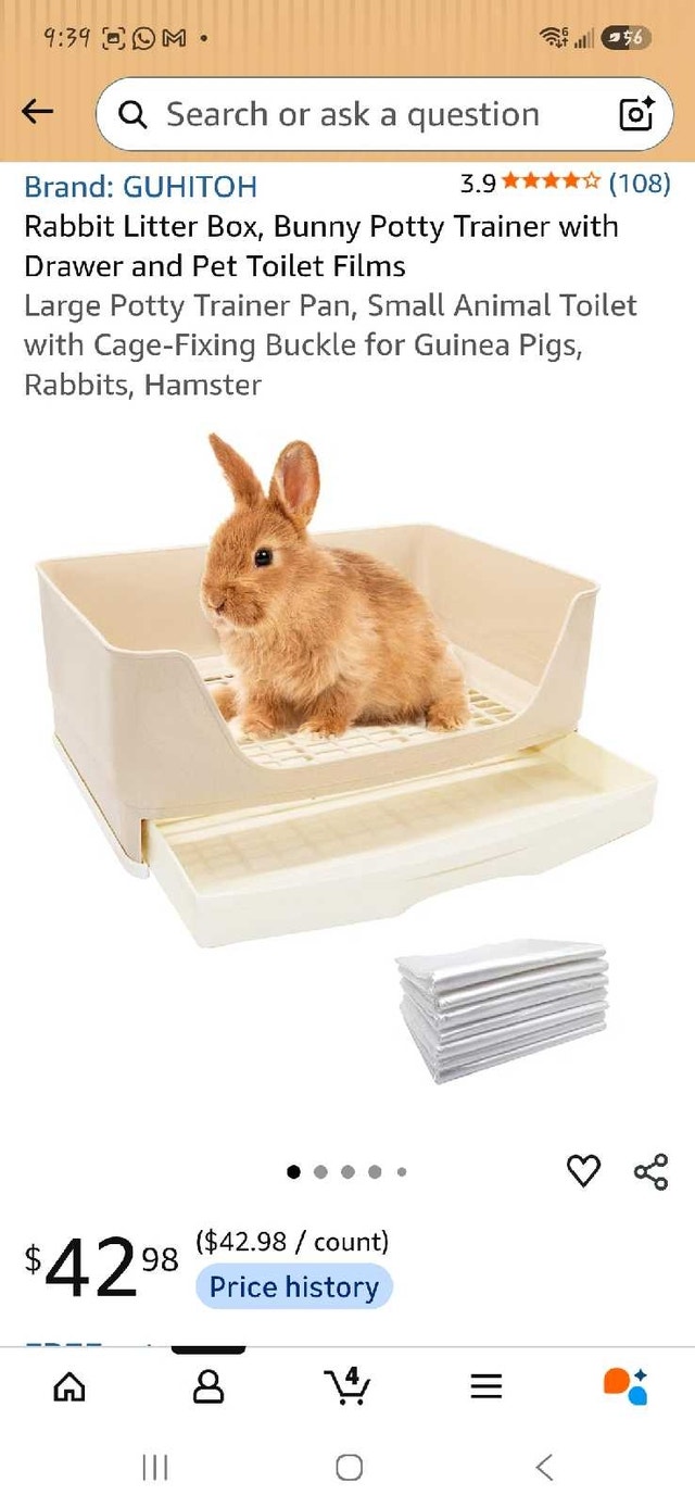 Rabbit Litter Box