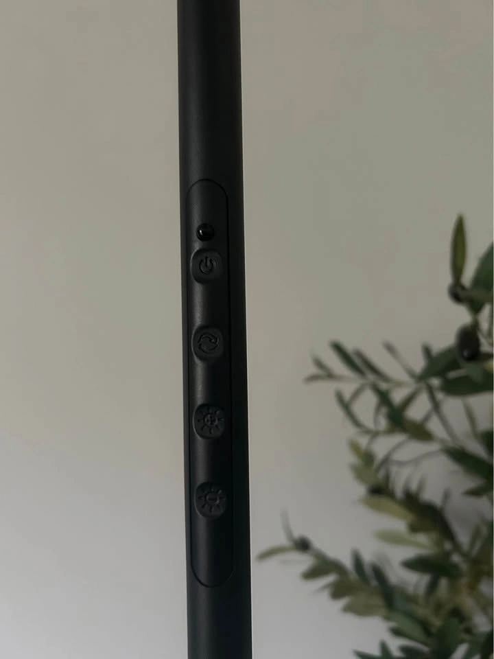 Floor lamp with remote control - photo 4