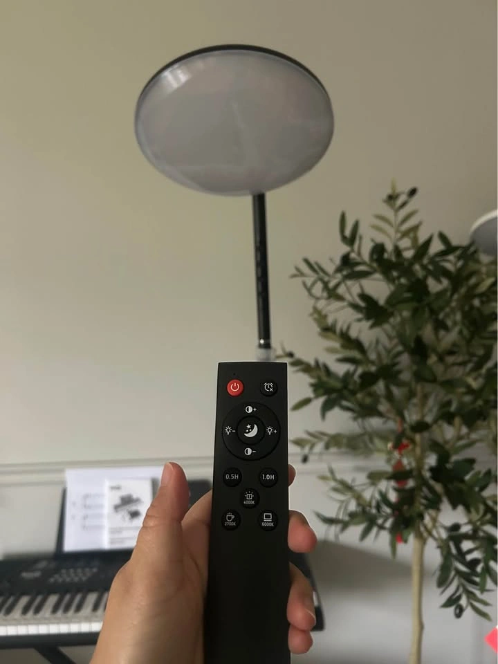 Floor lamp with remote control - photo 5