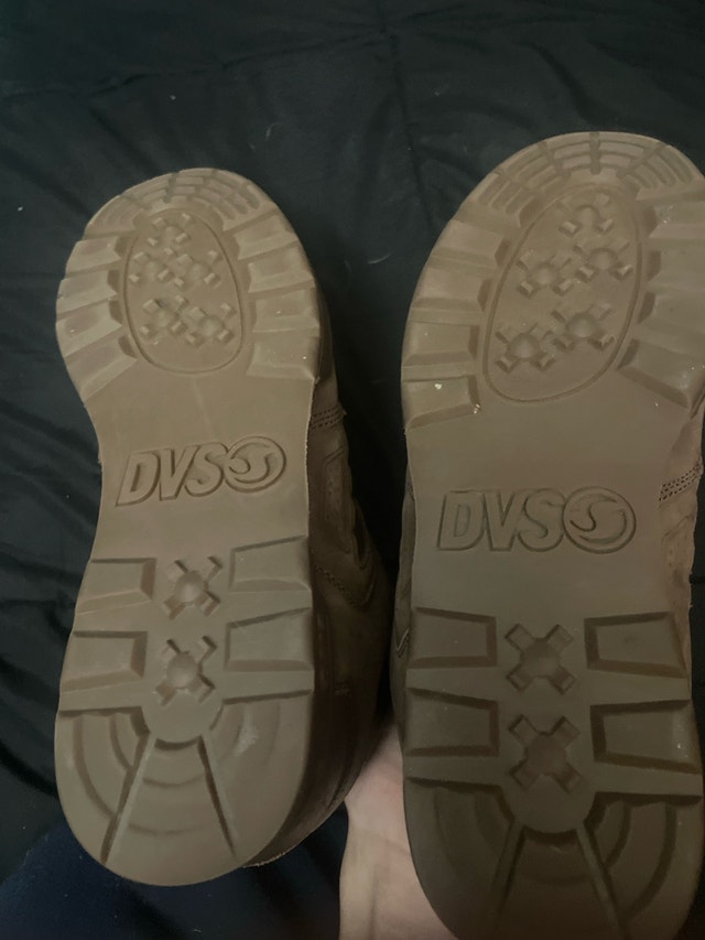 DVS Skating shoes