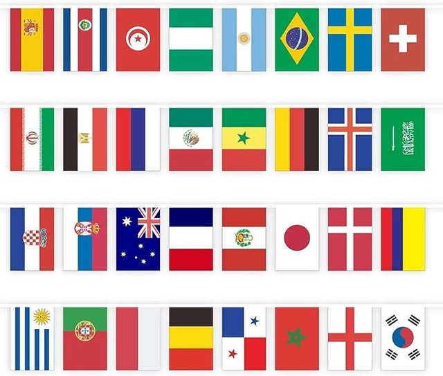 FIFA 44 foot long flag banner with 32 (12" x18") world cup flags