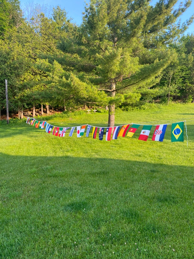 FIFA 44 foot long flag banner with 32 (12" x18") world cup flags - photo 2