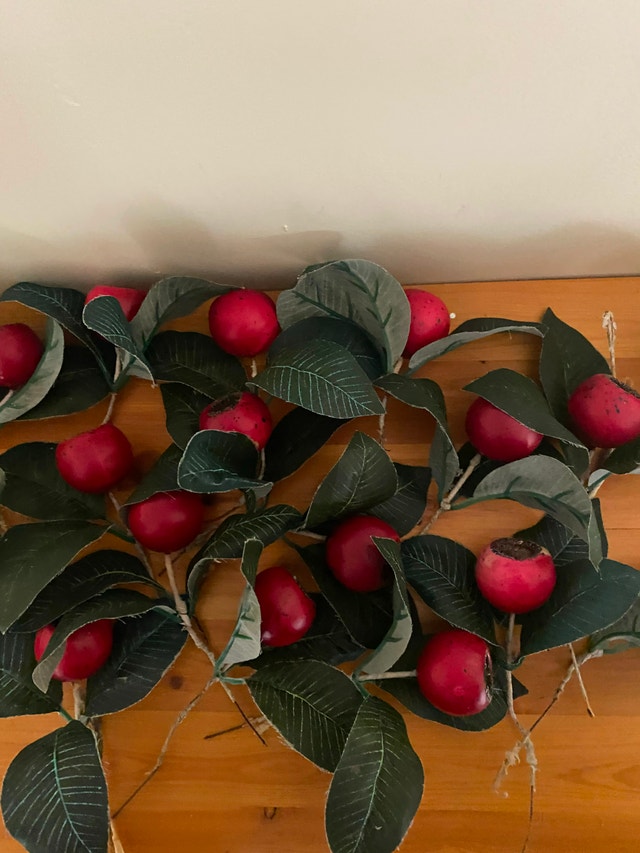 APPLES galore - $60 for the lot - photo 5
