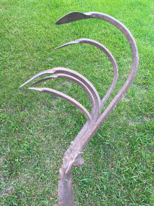 Antique 5 tine hand cultivator with original wooden handle - photo 3