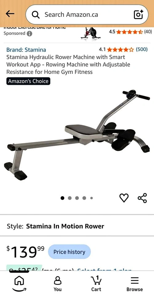 Stamina in Motion rowing machine